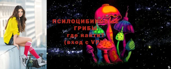 не бодяженный Богданович