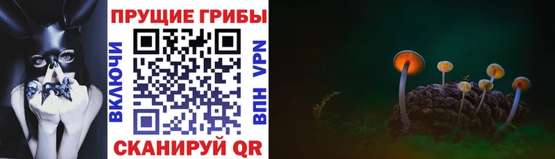 мега   Мезень  Галлюциногенные грибы GOLDEN TEACHER  что такое наркотик 